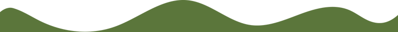 img wave shape2