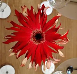 Tavolo allestito con fiori Floricoltura Santa Sofia 8