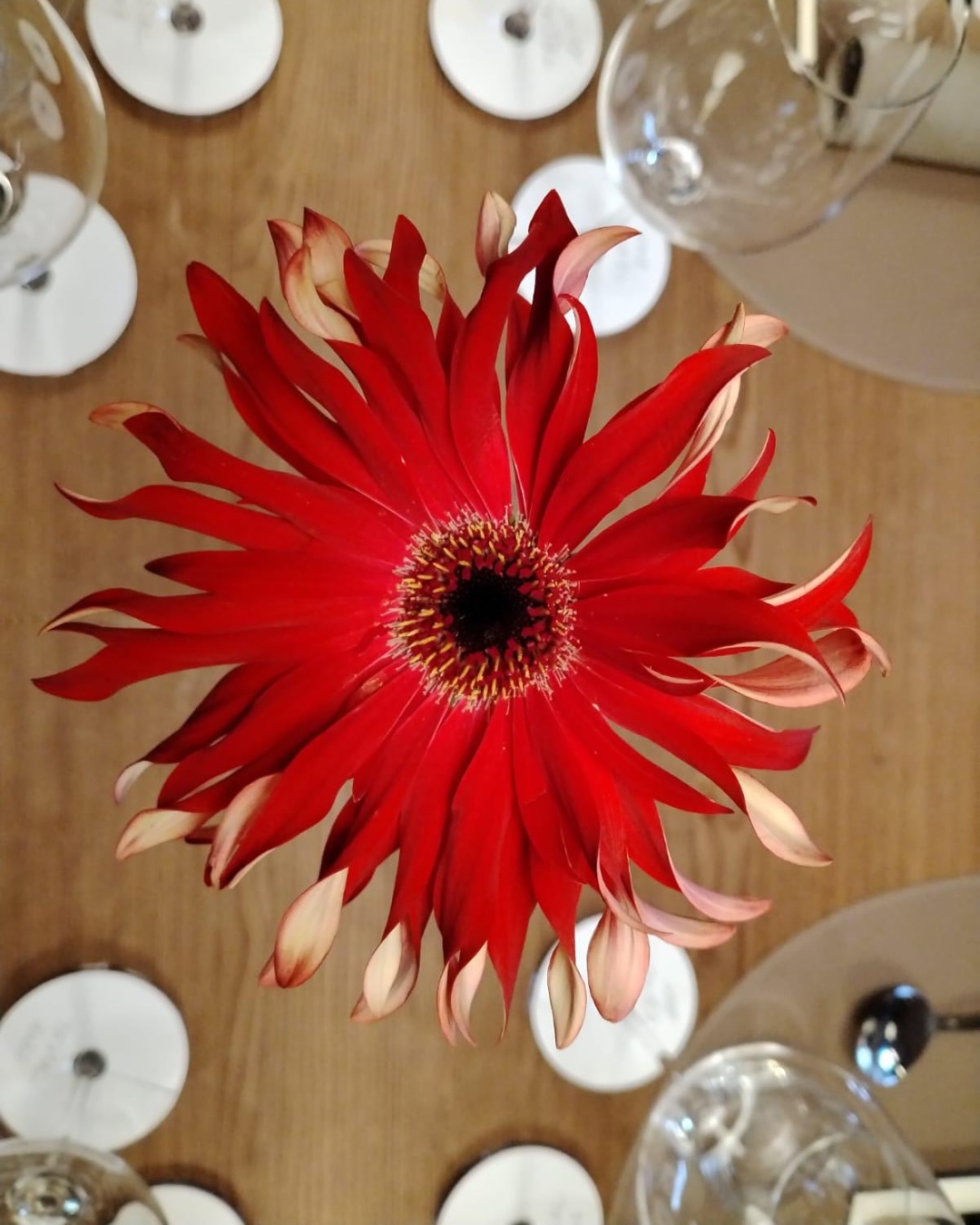 Tavolo allestito con fiori Floricoltura Santa Sofia 8