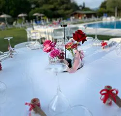 Allestimento per una laurea realizzato da Floricoltura Santa Sofia a Verona 5