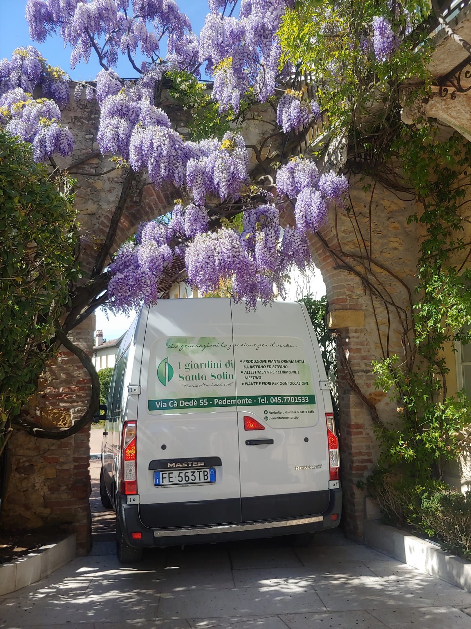 Consegna a domicilio Floricoltura Santa Sofia Verona
